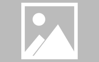 淮滨论文网站建设（网站建设的论文）